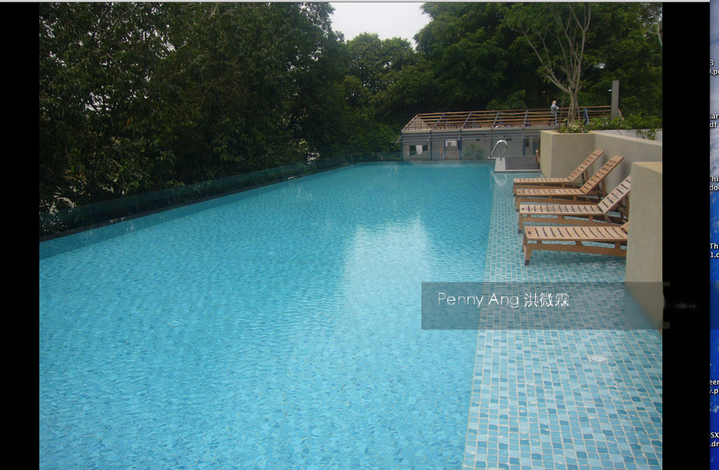 The Riverine By The Park (D12), Apartment #142712542